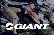 GIANT(WCAgj