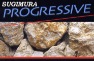 SUGIMURA PROGRESSIVE