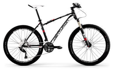 摜F[BACKFIRE 800]iC[W