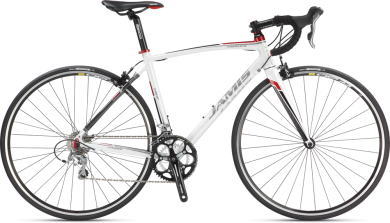 摜F[Ventura Race Femme]iC[W