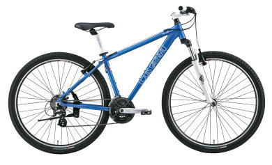 FIVE 29 (MIRROR BLUE) (420mm)