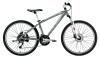 FIVE PRO (PEARL GRAY) (370mm)