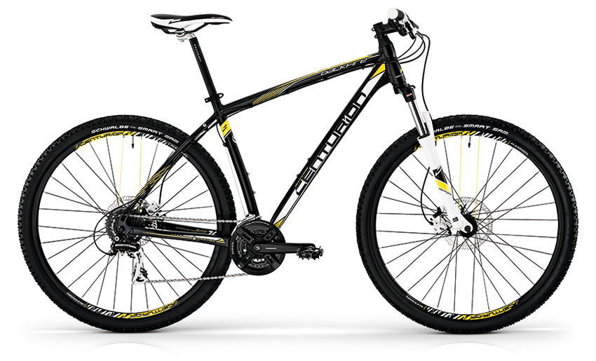 Centurion Backfire100 29インチ MTBフレーム BACKFIRE 100 29／2014 CENTURION マウンテンバイク