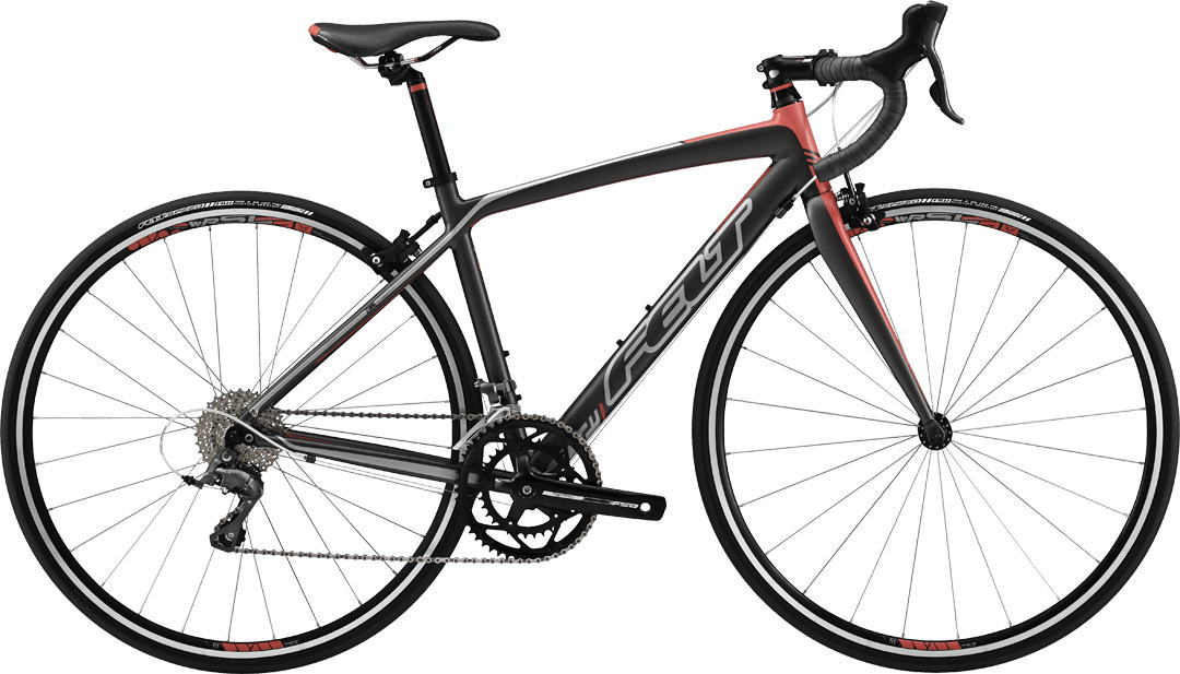 2015 felt zw100