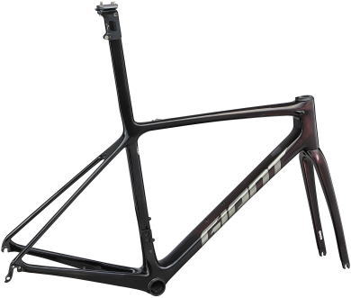 摜F[2023 TCR ADVANCED SL FRAME SET]iC[W